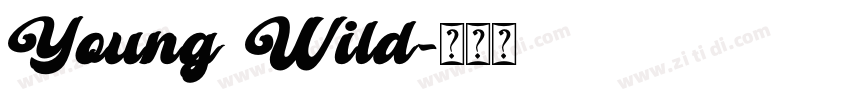 Young Wild字体转换